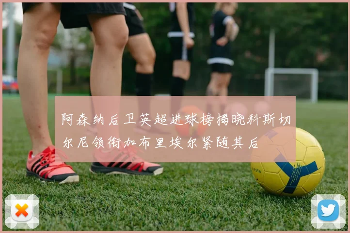 阿森纳后卫英超进球榜揭晓科斯切尔尼领衔加布里埃尔紧随其后
